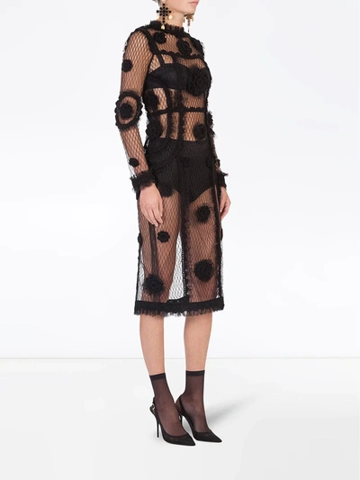 Dolce & Gabbana Floral-embroidered Mesh Sheath Dress In Black