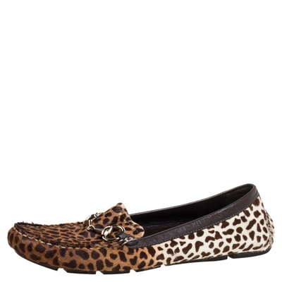 Pre-owned Gucci Brown/white Leopard Print Pony Hair Horsebit Detail Slip On Loafers Size 38