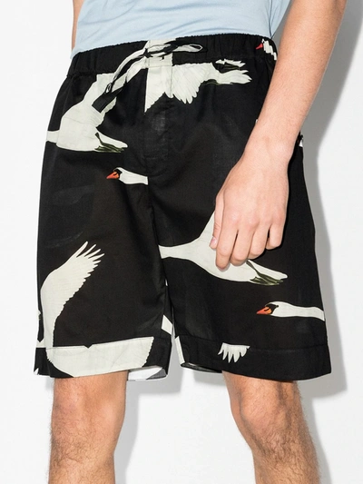 Shop Desmond & Dempsey Cygnus Swan Print Pyjama Shorts In Black