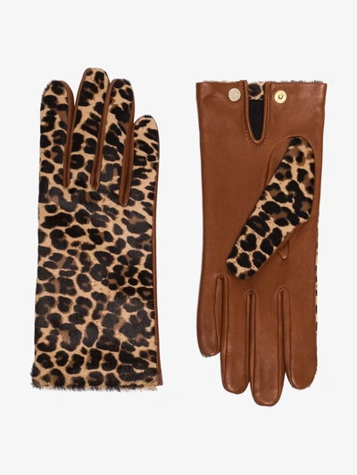 Shop Agnelle Brown Chloé Leopard Print Gloves