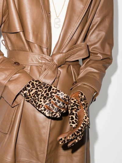 Shop Agnelle Brown Chloé Leopard Print Gloves