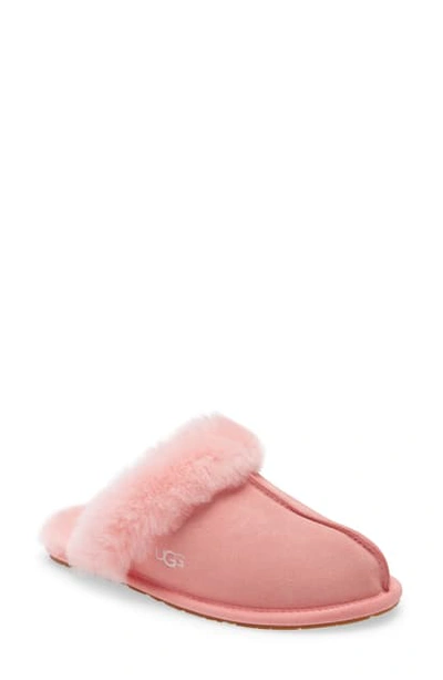 Shop Ugg Scuffette Ii Slipper In Flamingo Pink Suede
