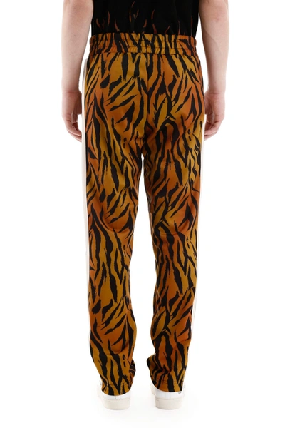 Shop Palm Angels Tiger Trackpants In Brown White