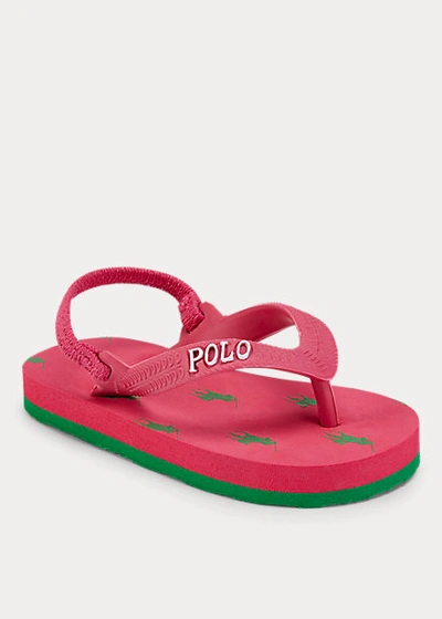 Shop Polo Ralph Lauren Camino Flip-flop In Fuchsia/green