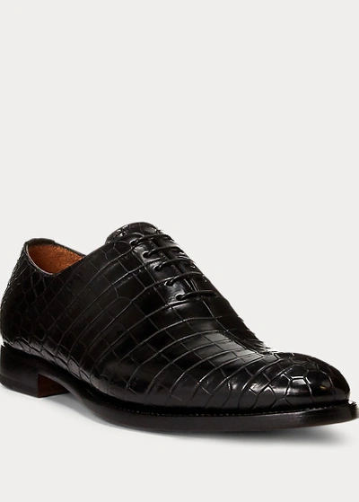 Polo Ralph Lauren Darby Crocodile Shoe In Black