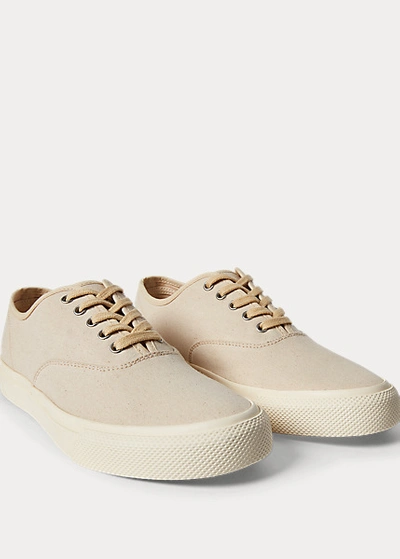 Shop Double Rl New Norfolk Canvas Sneaker In Greige