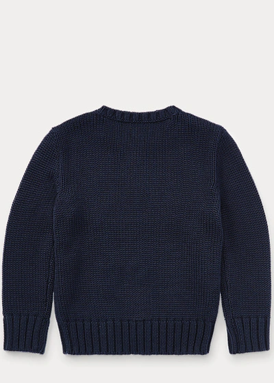 Polo Ralph Lauren Flag Cn Swtr Tops Sweater In Hunter Navy