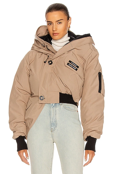 Shop Y/project X Canada Goose Chilliwack Bomber Jacket In Camel