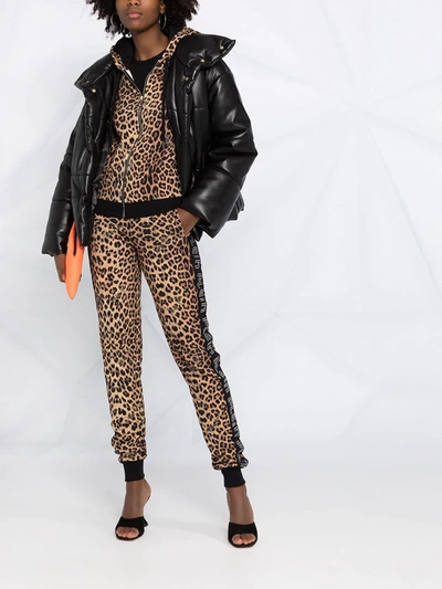 Shop Philipp Plein Leopard-print Tracksuit In Brown