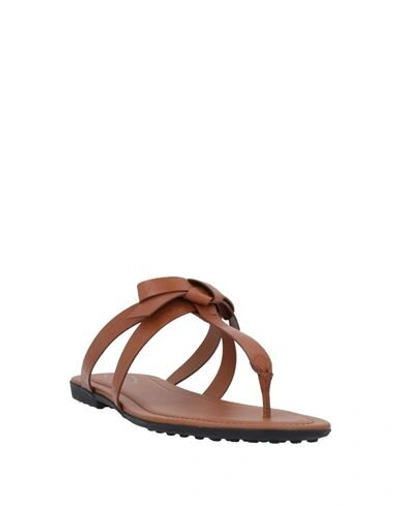 Shop Tod's Toe Strap Sandals In Brown