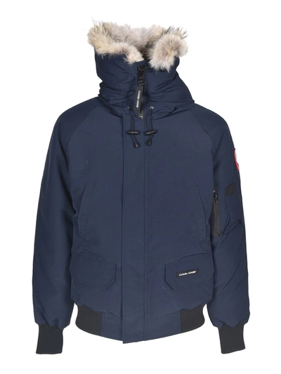 Shop Canada Goose Chilliwack Bomber In Blue