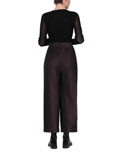 Antonelli Pants In Purple