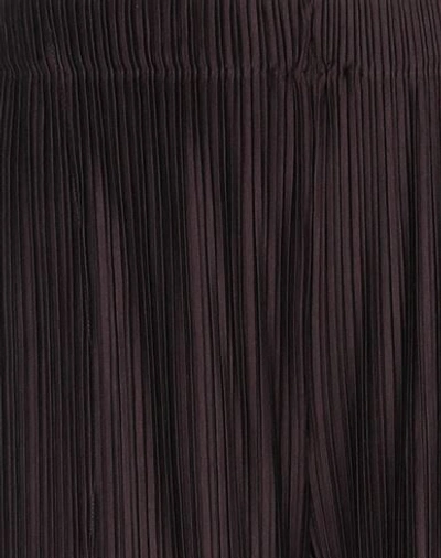 Antonelli Pants In Purple
