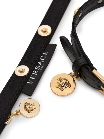 Shop Versace Medusa Stud Collar And Leash Set In Black