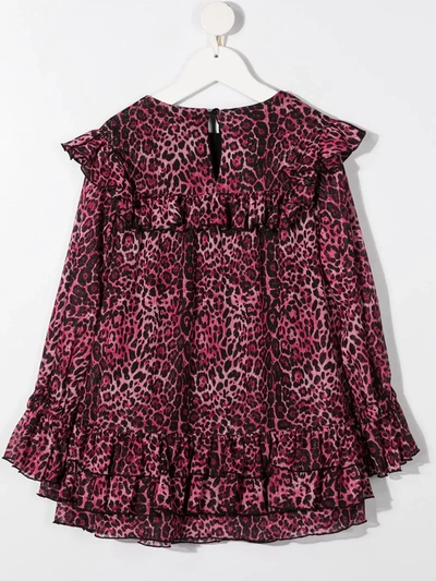 Shop Alberta Ferretti Leopard-print Ruffle-trim Dress In Pink