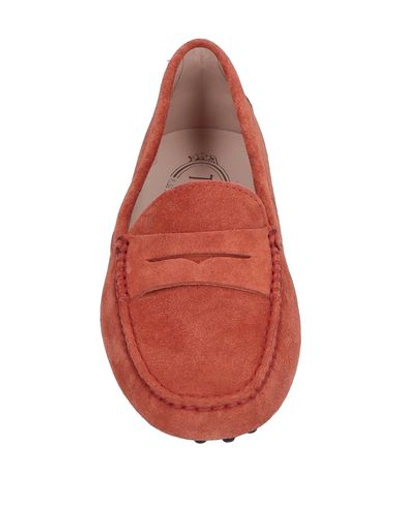 Tod's Woman Loafers Rust Size 7.5 Calfskin In Red