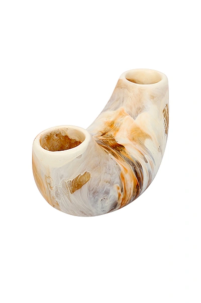 Shop Dinosaur Designs Medium Horn Vase In Light Horn