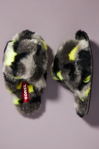Shop Sorel Mail Run Slippers In Assorted