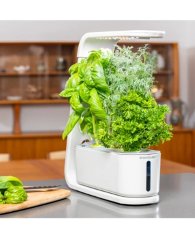 Shop Aerogarden Sprout With Gourmet Herbs Seed Pod Kit In White