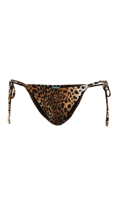 Shop Melissa Odabash Miami Bikini Bottoms In Cheetah