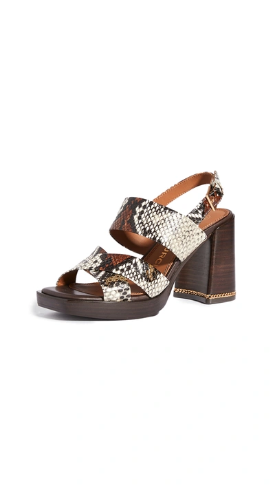 Tory burch cheap snake print sandals