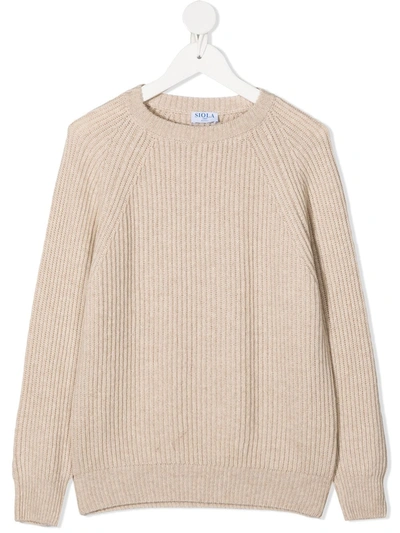 Shop Siola Rib-knit Crew Neck Jumper In Neutrals