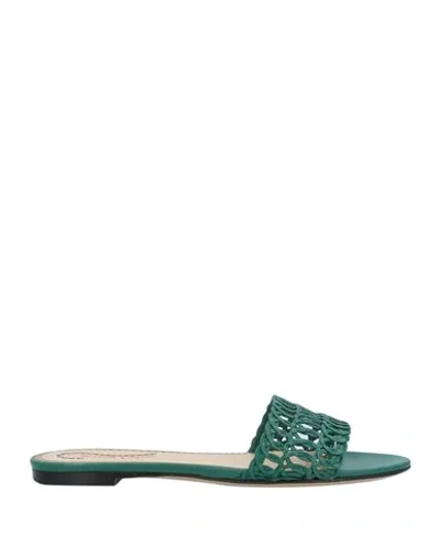 Shop Charlotte Olympia Sandals In Green