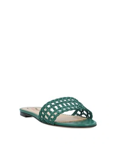 Shop Charlotte Olympia Sandals In Green