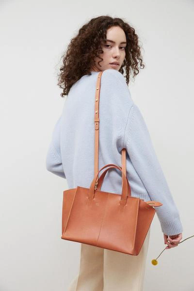 Mansur Gavriel Mini Zip Multitude Tote