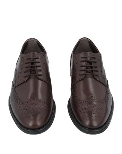 Shop Tod's Lace-up Shoes In Dark Brown