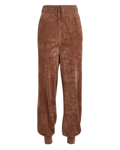 Shop Ronny Kobo Ronny Chenille Knit Joggers In Brown