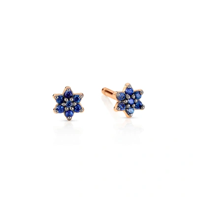 Shop Ginette Ny Mini Sapphire Star Studs In Pink Gold