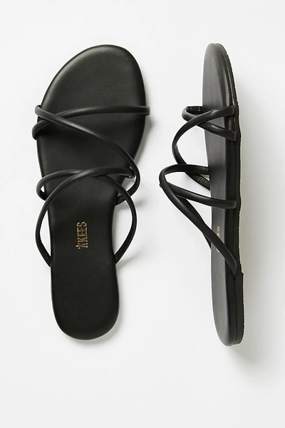 Shop Tkees Sloane Sandals In Black