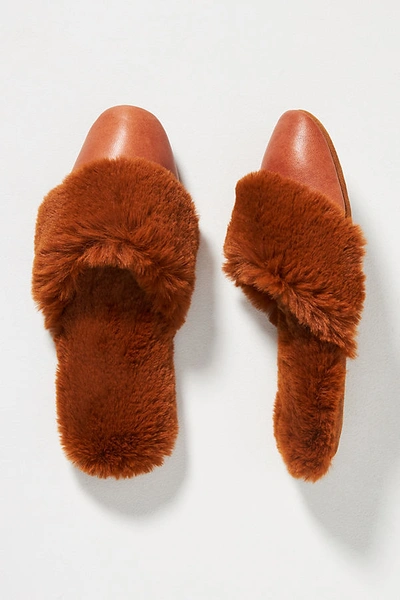 Shop Ariana Bohling Nill Faux Fur Slippers In Yellow