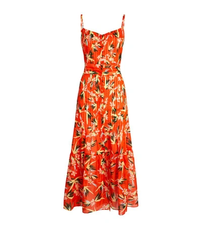 Shop Solid & Striped Floral Tilda Midi Dress