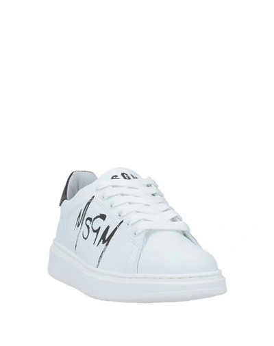 Shop Msgm Sneakers In White