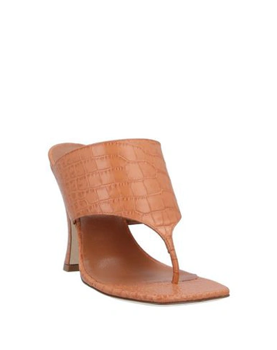 Paris Texas Toe Strap Sandals In Brown