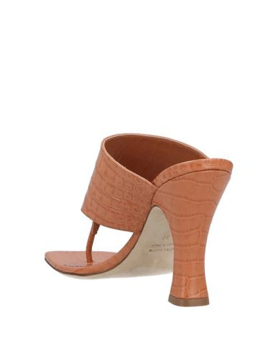 Paris Texas Toe Strap Sandals In Brown