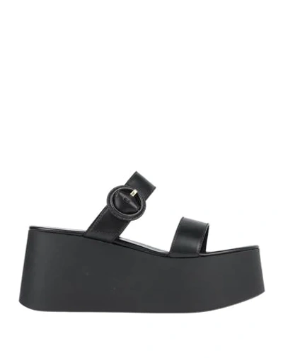 Shop Gianvito Rossi Sandals In Black