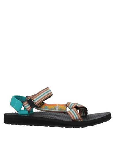 Shop Teva Sandals In Brown