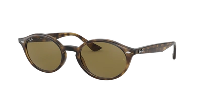 Ray Ban Ray In Dark Brown Classic B-15