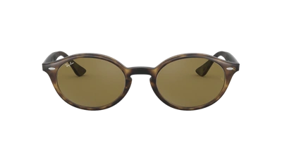 Ray Ban Ray In Dark Brown Classic B-15