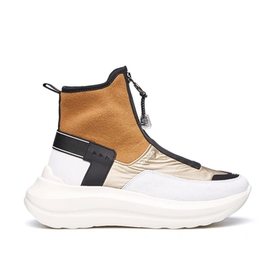Shop Barracuda Sneaker In Bianco/nero/oro/beige