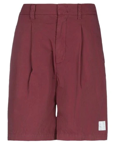 Shop Department 5 Woman Shorts & Bermuda Shorts Burgundy Size 26 Cotton In Red