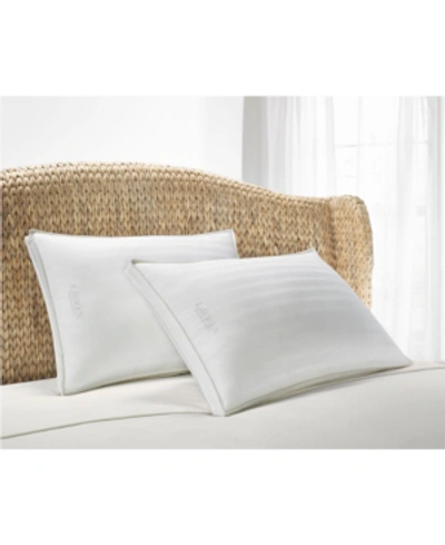Shop Lauren Ralph Lauren Certified Organic Cotton King Pillow In White