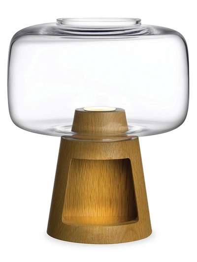 Shop Nude Glass Clear Tree Night Lamp