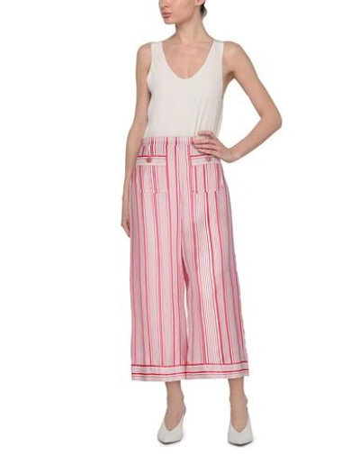Elisabetta Franchi Pants In Red