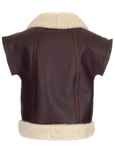Shop See By Chloé Aviator Shearling Zip In Brown