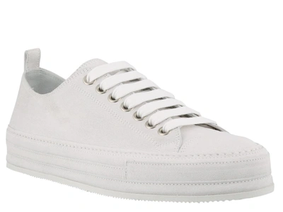 Shop Ann Demeulemeester Low In White