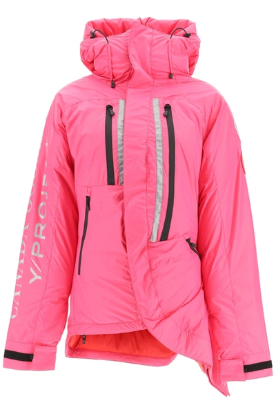 Shop Y/project Y Project Skreslet Padded Down Jacket In Pink (fuchsia)